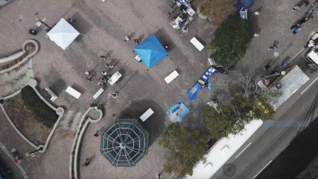 Flying Pig Productions Inc