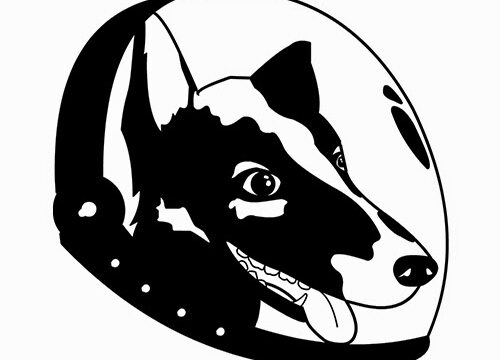 Gravity Dog Productions