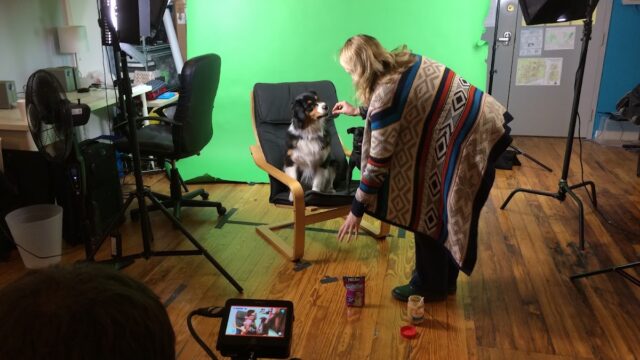 Shave Media Boston Video Production