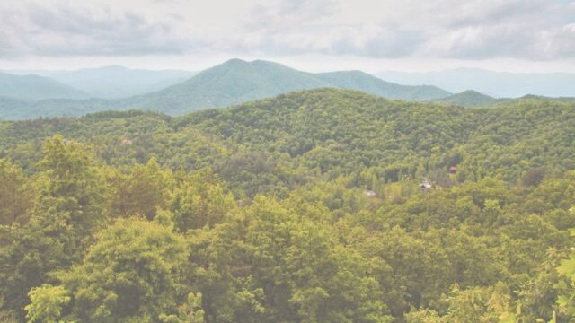 The Smoky Mountain Grip and Lighting Co, Knoxville, TN
